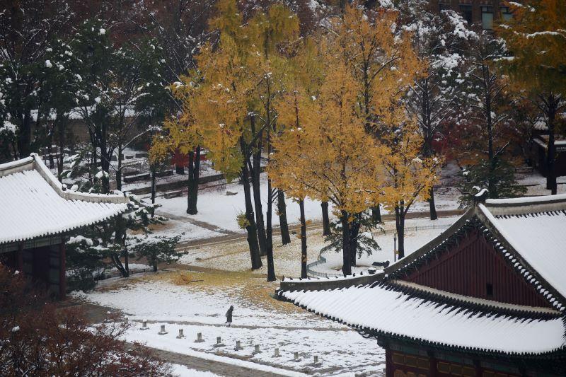 South Korea Faces Heavy Snowstorm for 2nd Day, 4 Lives Lost - Pinas Times