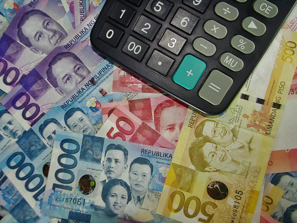 What Are Unprogrammed Funds in the National Budget?