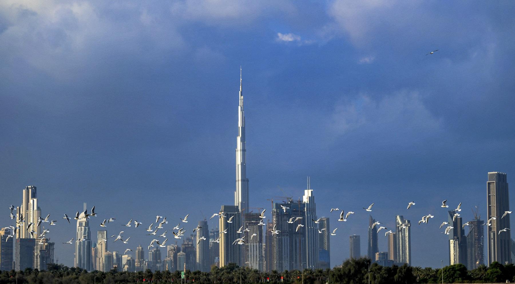 More Jobs in UAE? DMW Reveals Big Plans for Filipinos - Pinas Times