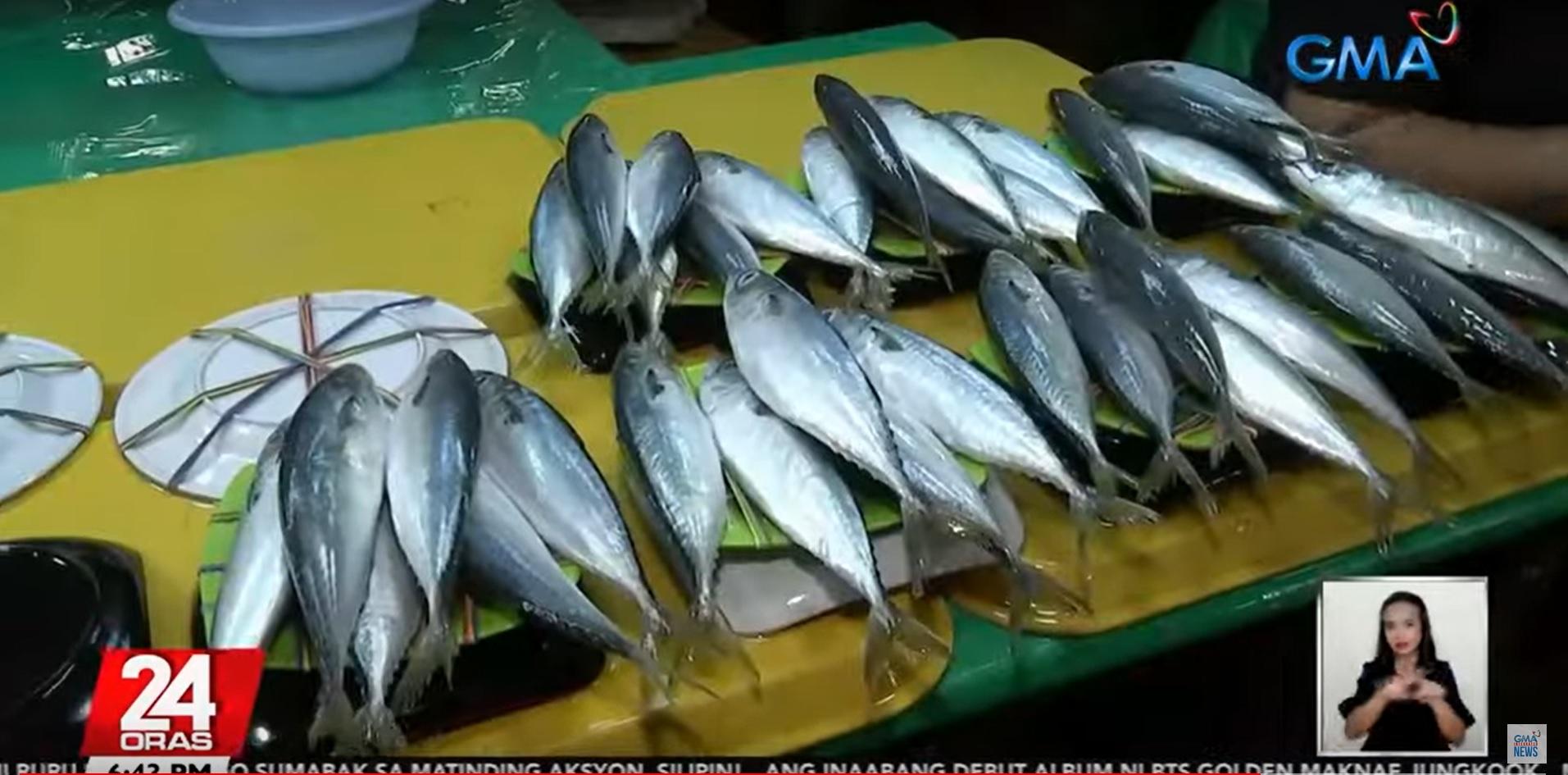 Good News! Fish Prices to Stay Steady This Summer 2025 - Pinas Times