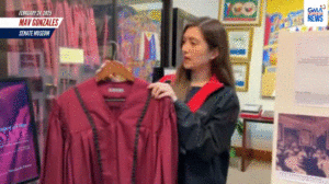 Senators Gear Up: Special Robes Ready for VP Sara Trial! - Pinas Times