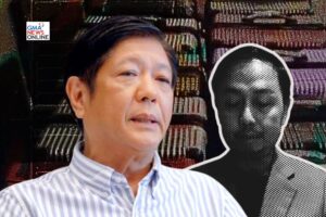 Zaldy Co: Marcos personally discussed budget insertions with me